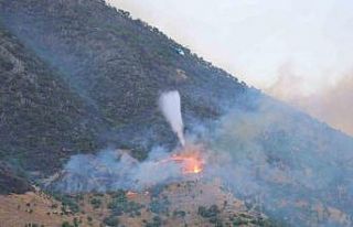 Kahramanmaraş’taki orman yangınına müdahale...