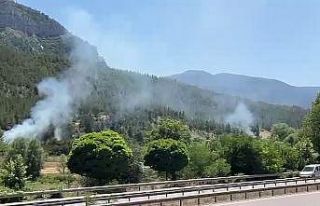 Karabük’te örtü yangınları büyümeden söndürüldü