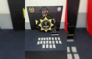 Karabük’te uyuşturucu operasyonları: 17 kişi...