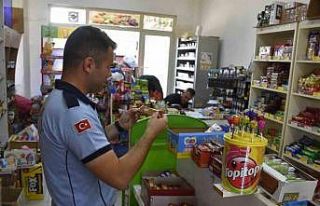 Karacabey Zabıta ekipleri köylerde denetimlere başladı