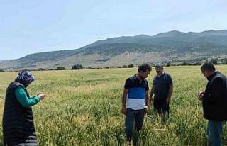 Karapınar’da dolu ve sel felaketinde etkilenen...