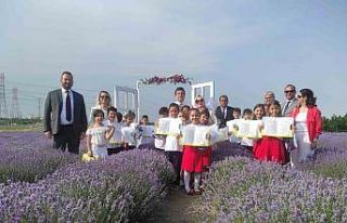 Karnelerini mor tarlada aldılar