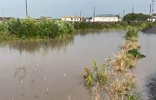 Kars’ta ahırlar ve ekili alanlar sular altında...