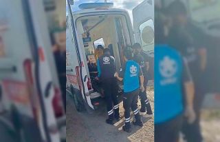 Kars’ta yaylada kayalıktan düşen çoban yaralandı