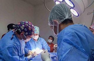 Kastamonu Üniversitesi’nde 5 ayda 334 hayvan tedavi...