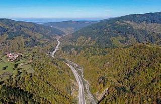 Kastamonu’da ormanlık alanlara girmek yasaklandı