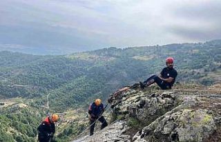 Kayalıklarda mahsur kalan keçiler kurtarıldı