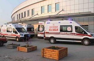 Kayıp kurbanlığı ararken canından oldu