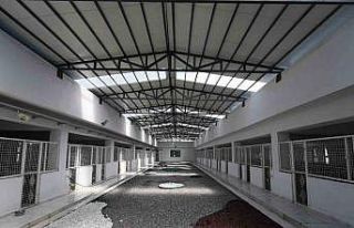 Kayseri’de 500 hayvan kapasiteli yeni bir barınak...