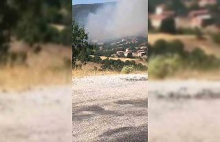 Kepsut’ta orman yangını başladı