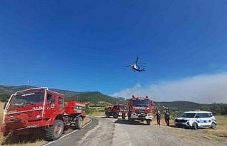 Kepsut’taki 2 ayrı orman yangınında soğutma...