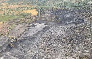 Kepsut’taki orman yangınları kontrol altına alındı