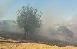Kestel’deki orman yangını