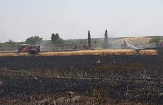 Kilis’te buğday tarlasında yangın