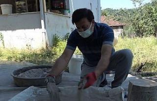 Kimyasal yerine odun külü: "Kokarcaya karşı...