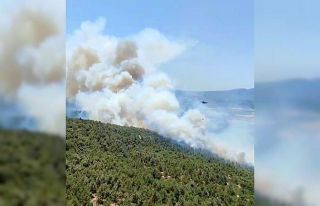 Kırıkağaç’ta yangın yeniden başladı