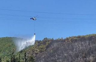 Kocaeli’de ağaçlık alanda çıkan yangın kontrol...