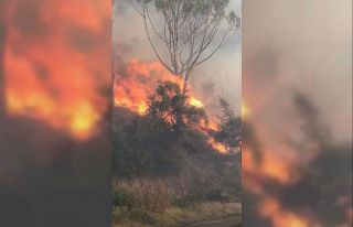 Koçarlı’da orman yangını: Çok sayıda ekip...