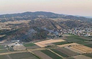 Koçarlı’daki orman yangını kontrol altına alındı