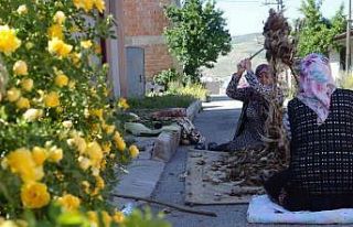 Kollar sağlık için sıvandı: Bayburtlu kadınların...
