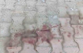 Komşusunun balkonundan kendi evine geçmeye çalışırken...