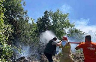 Köyceğiz’de orman yangını ekiplerin hızlı...