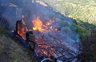 Köyde çıkan yangın 2 evi küle çevirdi