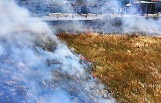 Küçükçekmece’de geniş otluk alanda çıkan...