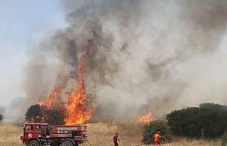 Kula’da makilik alanda çıkan yangında soğutma...