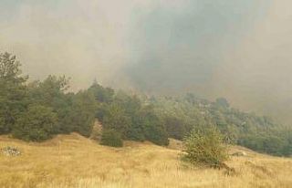 Kula’daki orman yangını için ekipler ve vatandaşlar...