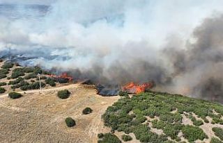 Kula’daki orman yangını kontrol altında