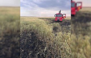 Kulu’da arpa ekili tarlada yangın