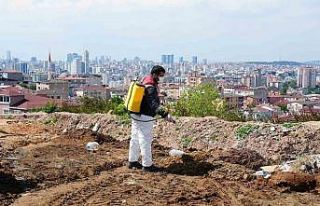 Kurban Bayramı öncesi Ataşehir’de denetimler...
