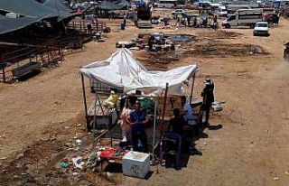 Kurbanlık fiyatları yüzde 40 düştü