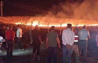 Kurtalan’da anız yangını paniğe neden oldu