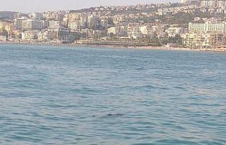 Kuşadası’nda denizde ceset bulundu