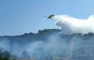 Kuşadası’nda orman yangını