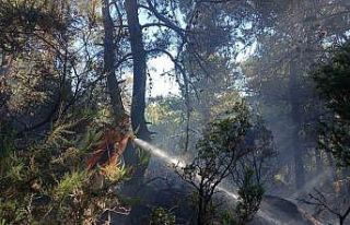 Lapseki’de ormanlık alanda çıkan yangın kontrol...