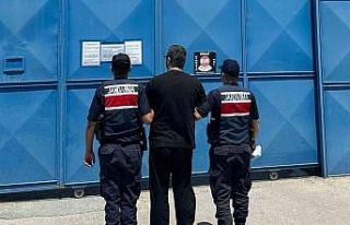 Limon bahçesinde saklanan hükümlü yakalandı