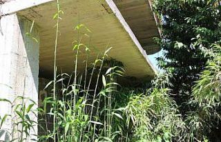 Mahalle sakininden kamış isyanı: "Bir kaç...