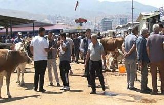 Malatya Canlı Hayvan Pazarı’nda bayram yoğunluğu