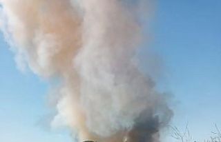 Malkara’da buğday tarlasında yangın: 20 dönüm...