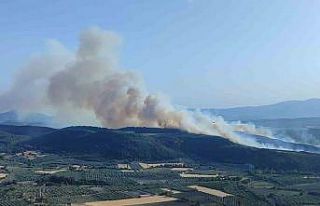 Manisa Kırkağaç’ta orman yangını: Havadan ve...