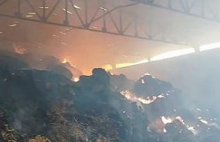 Manisa’da samanlık yangını: Binlerce balya saman...