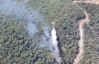 Manisa’daki orman yangını kontrol altına alındı