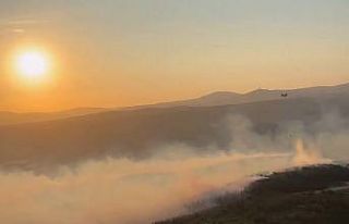 Manisa’daki orman yangınına müdahale tüm hızıyla...