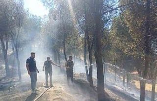 Manisa’daki yangın hızlı müdahale ile söndürüldü