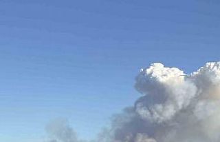 Manisa’nın farklı bir noktasında daha orman yangını...