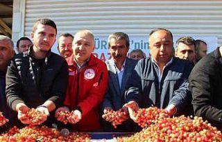 Manisa’nın ilk 5 aylık tarım ihracatı 400 milyon...