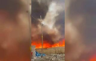 Mardin’de 350 dönüm buğday tarlası küle döndü